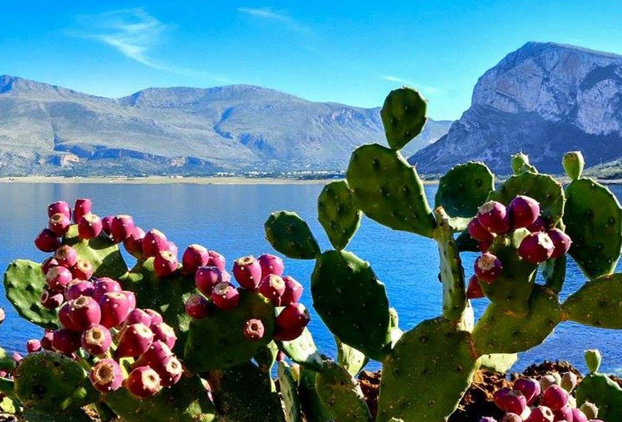 Sapore Di Sale Trapani